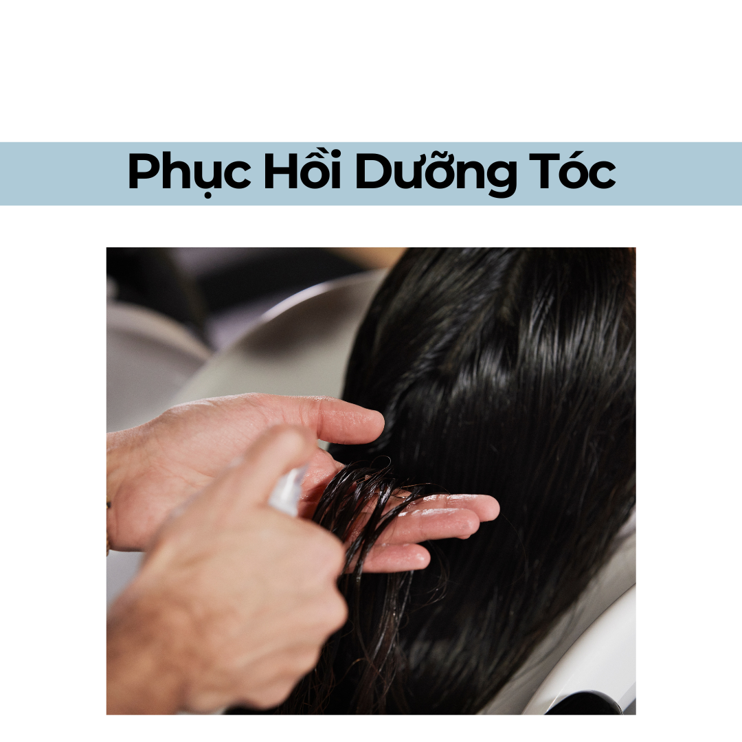 Dịch vụ phục hồi tóc
